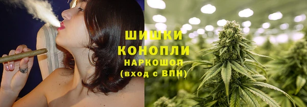не бодяженный Бородино