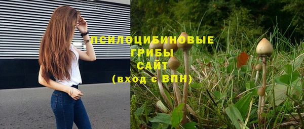 не бодяженный Бородино
