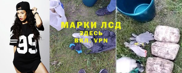 не бодяженный Бородино
