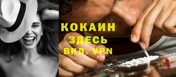 не бодяженный Бородино